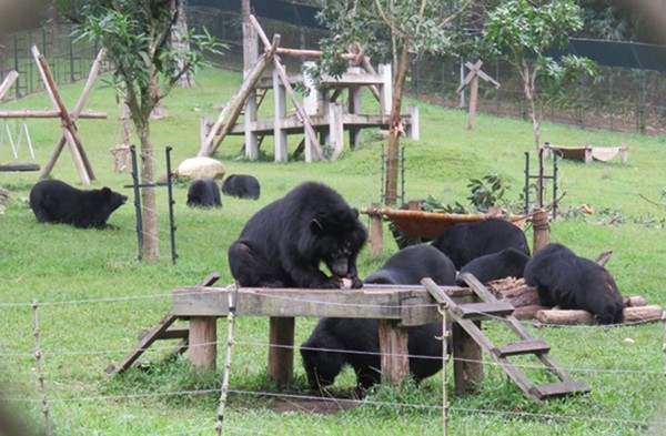 ▶▶지난 2018년 곰 보금자리가 답사한 베트남 땀다오 국립공원의 생츄어리. 이곳은 국제생츄어리 연맹 평가에서 최고등급을 받았다. (곰 보금자리 프로젝트 제공)